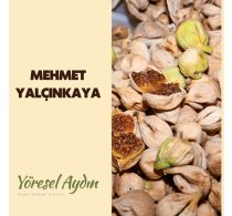 MEHMET YALÇINKAYA 