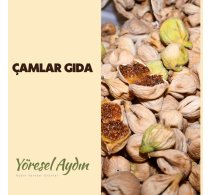 ÇAMLAR GIDA