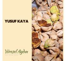 YUSUF KAYA